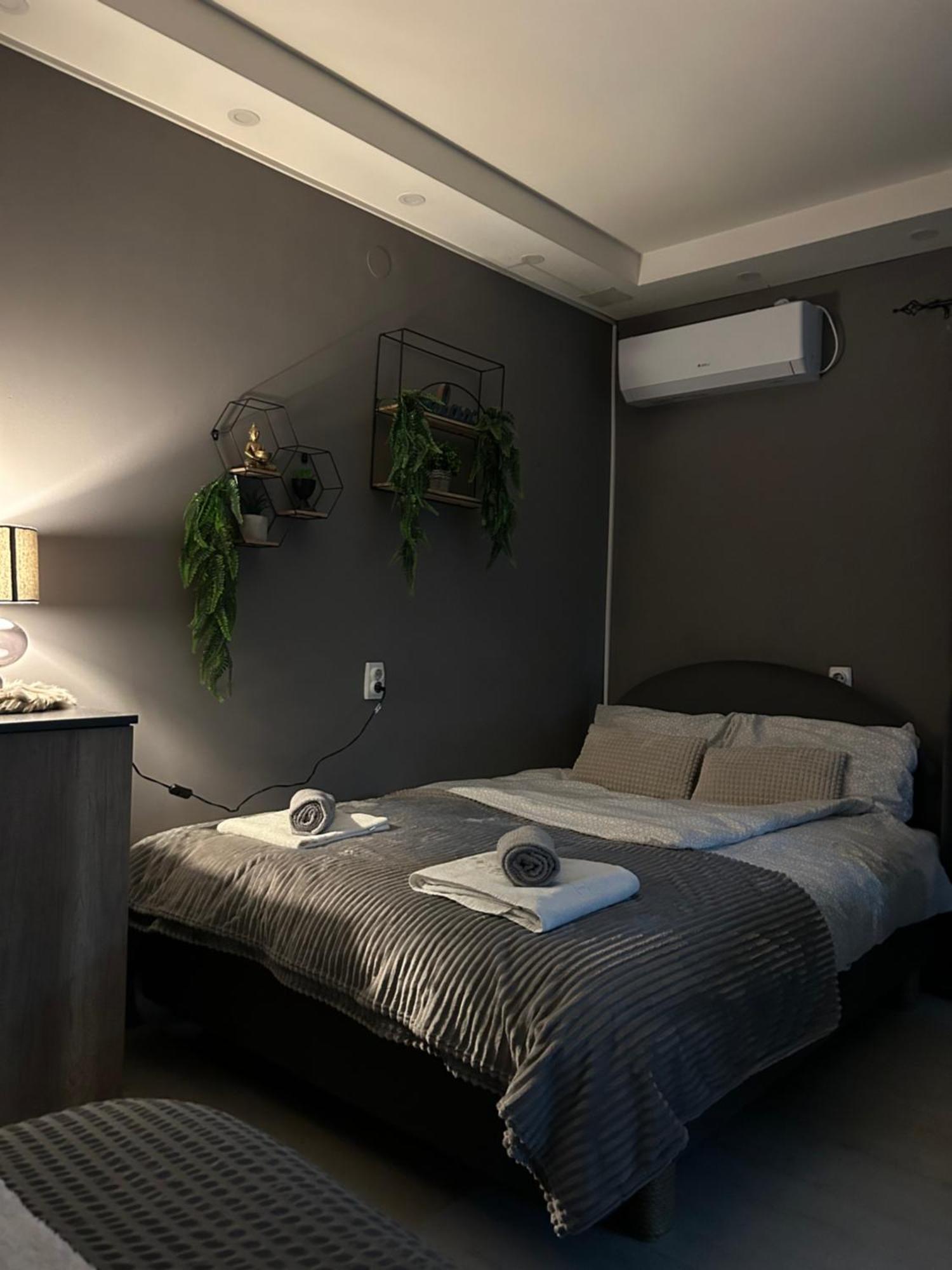 Beta House Apartments Zaječar Extérieur photo