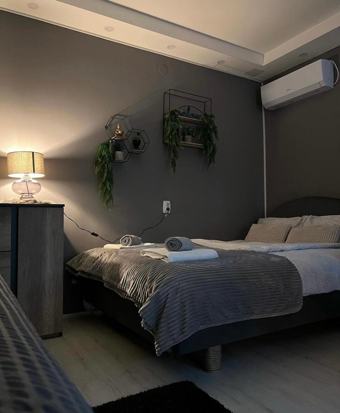 Beta House Apartments Zaječar Extérieur photo